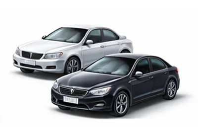 Ekspreslevering Biler i Zwijnaarde BE